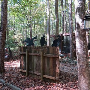 Vulture Culture Exhibits Area