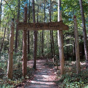 Owl Forest Exhibits Entrance