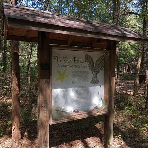 Owl Forest Exhibits Graphic