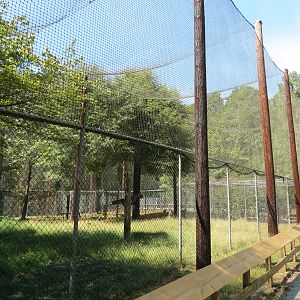 Bald Eagle Exhibit 2