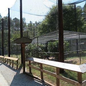 Bald Eagle Exhibit 1