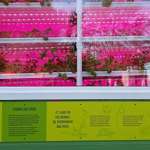 Philly Zoo - Vertical Garden