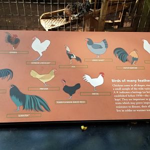 Philly Zoo - Chicken breeds sign