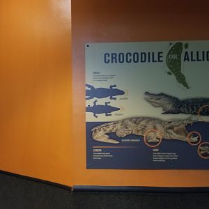 Philly Zoo - former spot for the chinese alligators