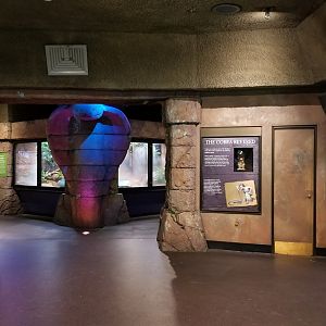 Philly Zoo - Cobra pyramid