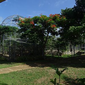 First look into zoo: Aviaries