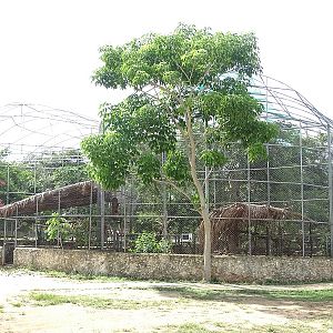Aviaries