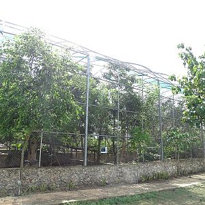 Aviaries