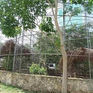 Aviaries