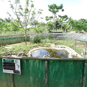 Larger furrowed wood turtle enclosure