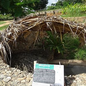 Smaller furrowed wood turtle enclosure
