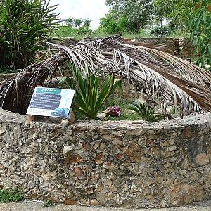 Meso-American slider enclosure