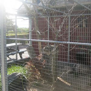 Madsbyparken - Exotic bird aviary #1