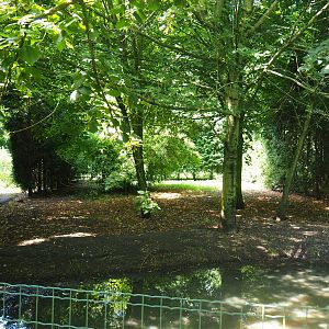 Eurasian crane exhibit, 2019-08-04