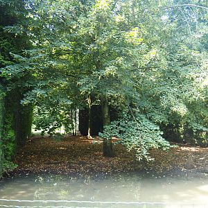 Crane exhibit (Species not remembered), 2019-08-04