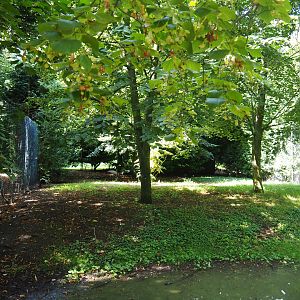 Demoiselle crane exhibit, 2019-08-04
