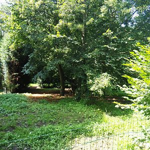 Crane exhibit (Species not remembered), 2019-08-04