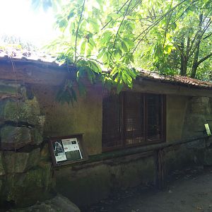 Naff White-handed gibbon house, 2019-08-04