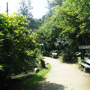 View in the large walk-through aviary, 2019-08-04
