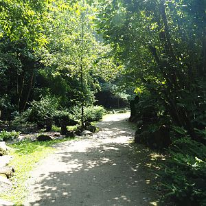 View in the large walk-through aviary, 2019-08-04