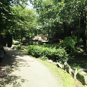 View in the large walk-through aviary, 2019-08-04