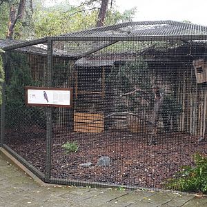 Aviary Hobby