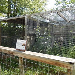 Geoffrey's Cat Pair of Cages