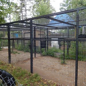 Black Leopard Cage