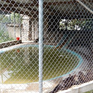North American River Otter Cage