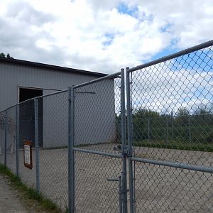 Reticulated Giraffe Paddock