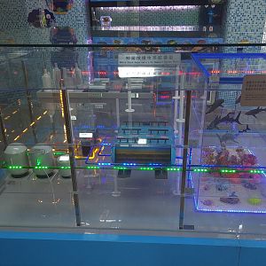 Filter System Interpretation