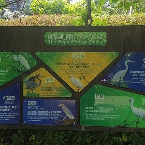 Egret Signage