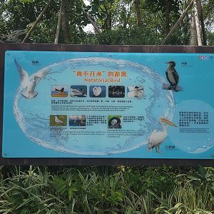 Aquatic Birds Signage