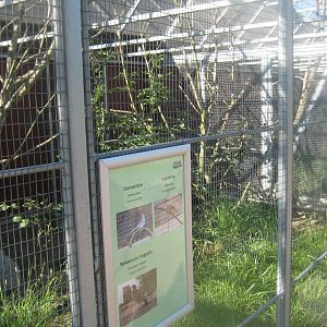 Madsbyparken - Exotic bird aviary #2