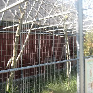 Madsbyparken - Exotic bird aviary #3