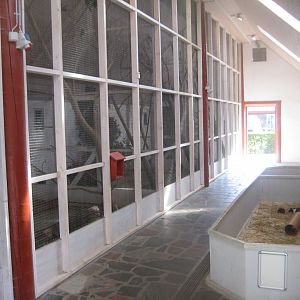 Madsbyparken - Bird house