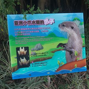 Otter Signage