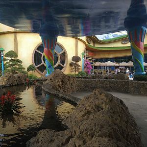 Shallow Coral Exhibit