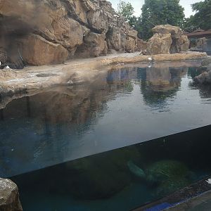 Sea Gull Exhibit