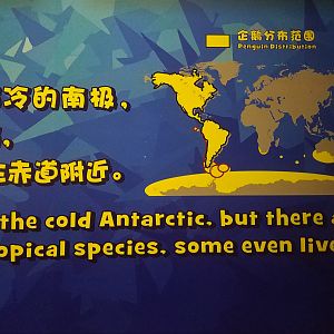 Penguin 'Distribution'