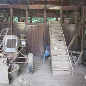 European Pine Marten Exhibit