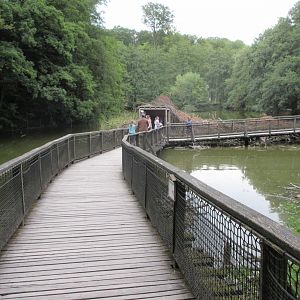 Beaver/Nutria Exhibit