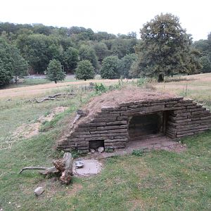 European Badger Exhibit