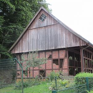 Weasel House (4 Species)