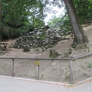 Alpine Ibex/Alpine Marmot Exhibit