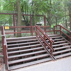 Wolf Exhibit - viewing platform