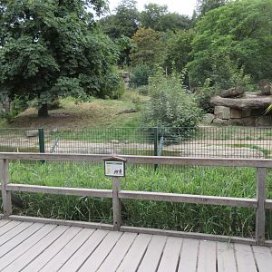 European Brown Bear/Silver Fox Exhibit