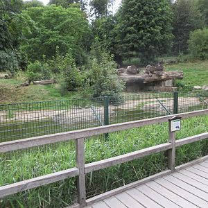 European Brown Bear/Silver Fox Exhibit
