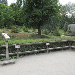 European Brown Bear/Silver Fox Exhibit