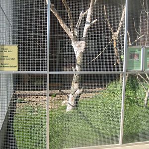 Madsbyparken - Macaw aviary